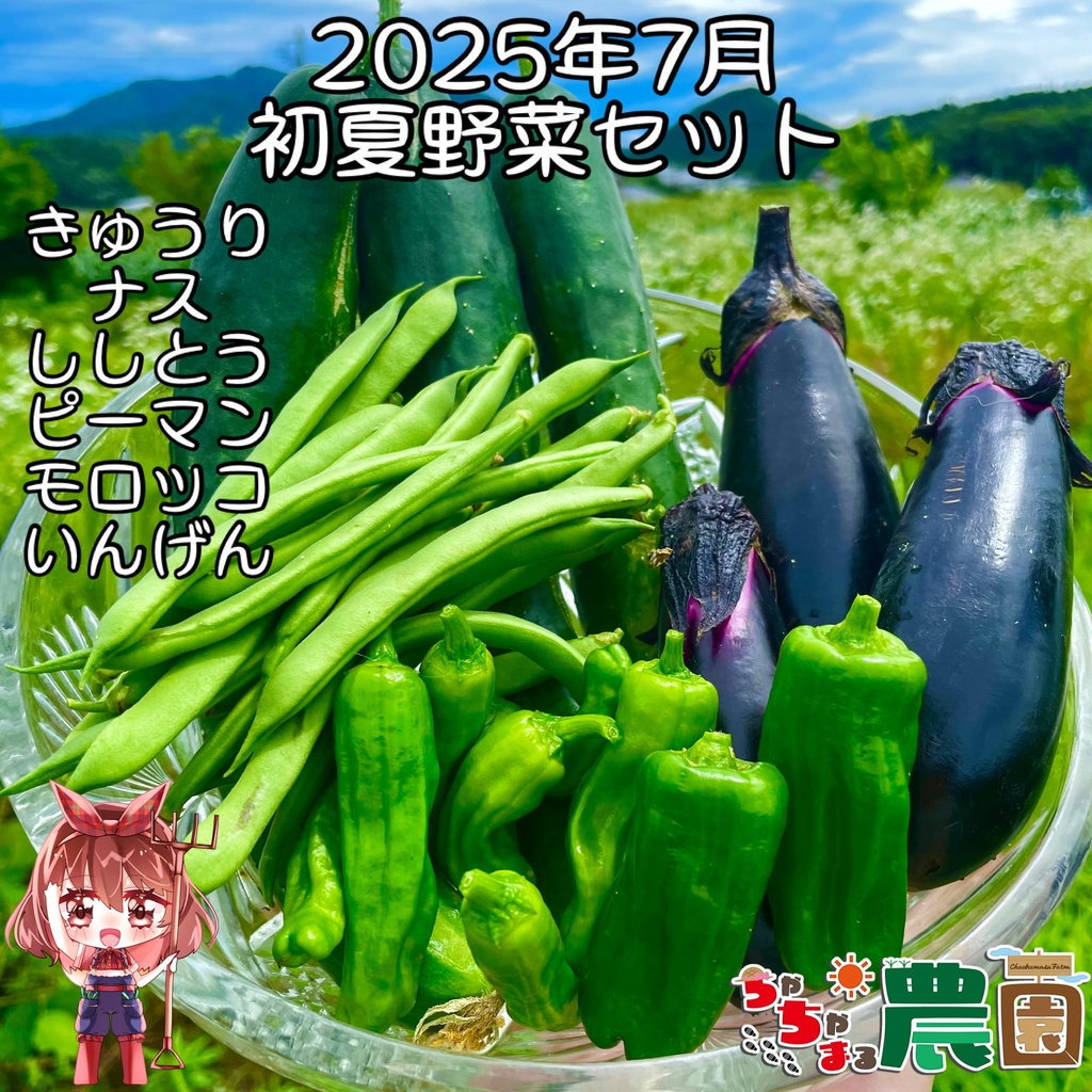【25.07.19完売】茶々丸農園 7月の夏野菜セット（お試し価格）🥗【 #茶々丸農園 #紅茶々丸】