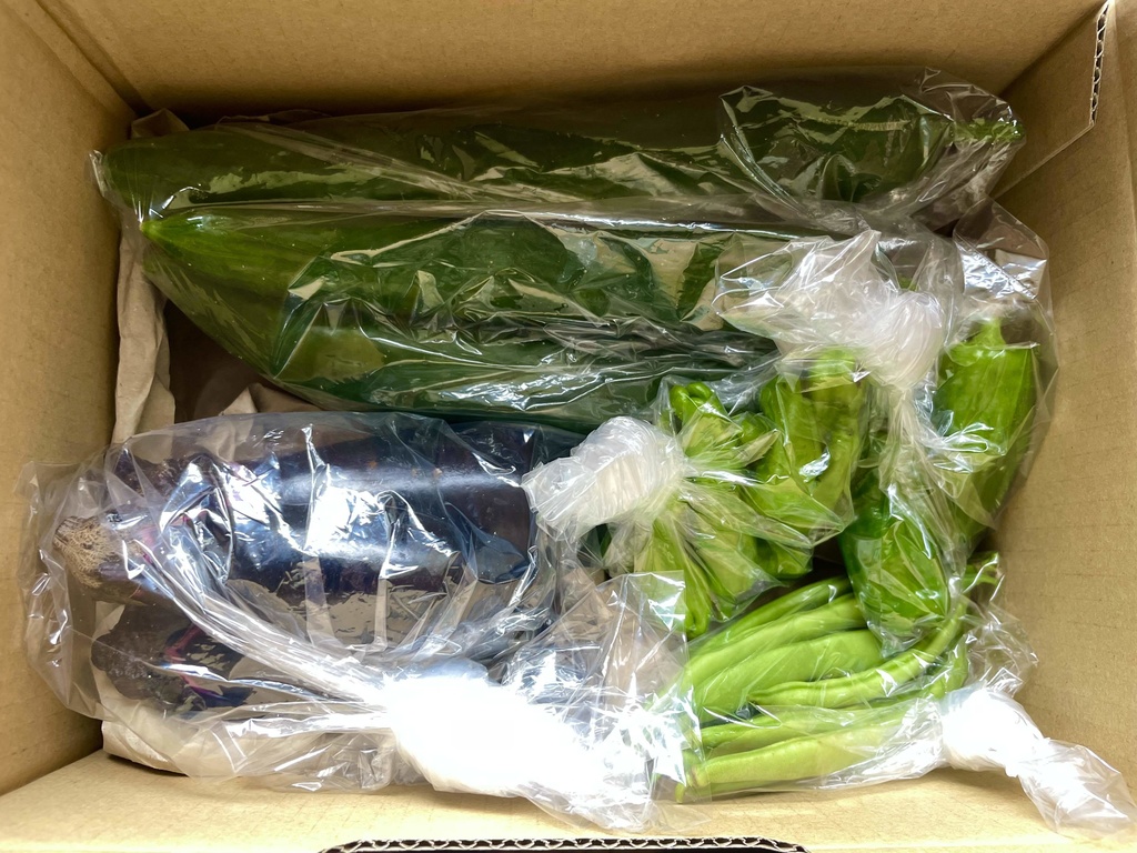 【25.07.29完売】2種のきゅうり多めの夏野菜セット【 #茶々丸農園 #紅茶々丸 】