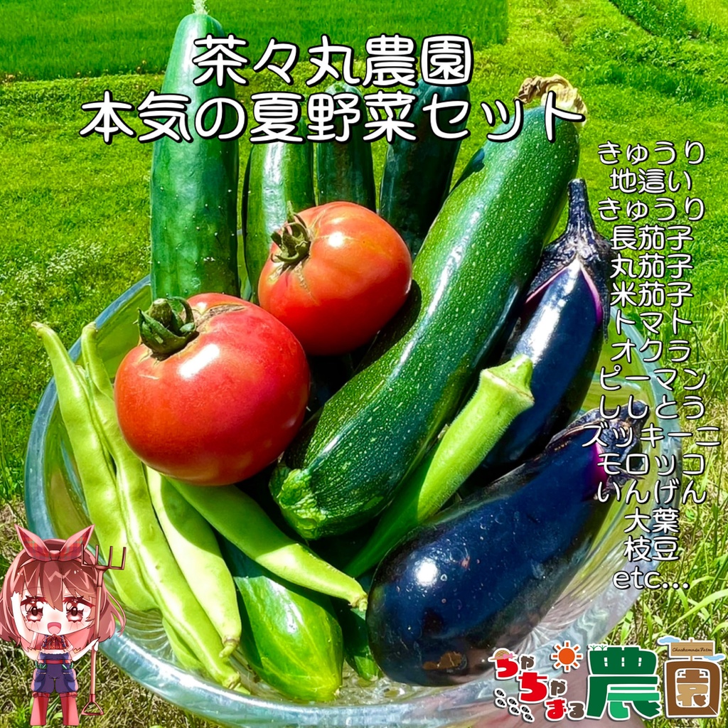 【25.08.21完売】本気の夏野菜セット【13種類の野菜ガチャ】#茶々丸農園 #紅茶々丸