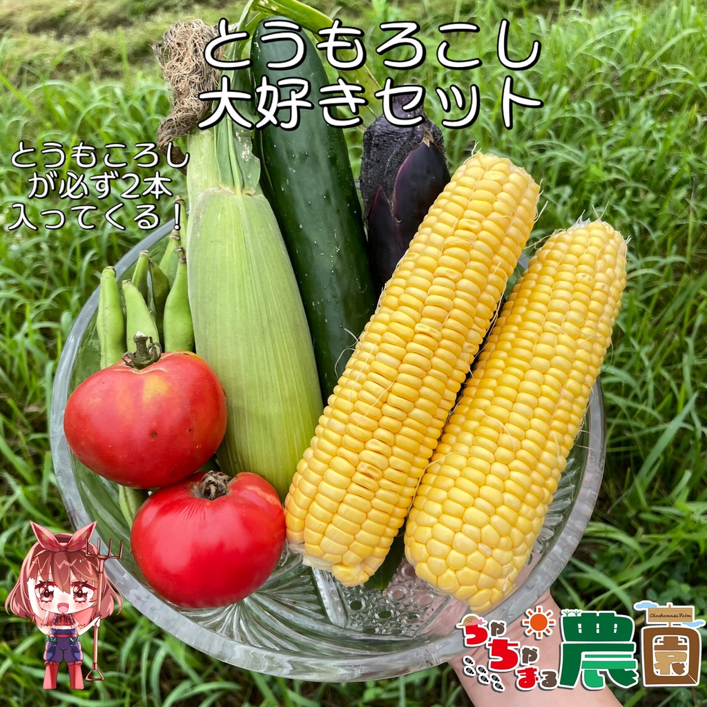 【25.08.12 完売】とうもろこし大好きセット〈必ず2本いれます!〉#茶々丸農園 #紅茶々丸
