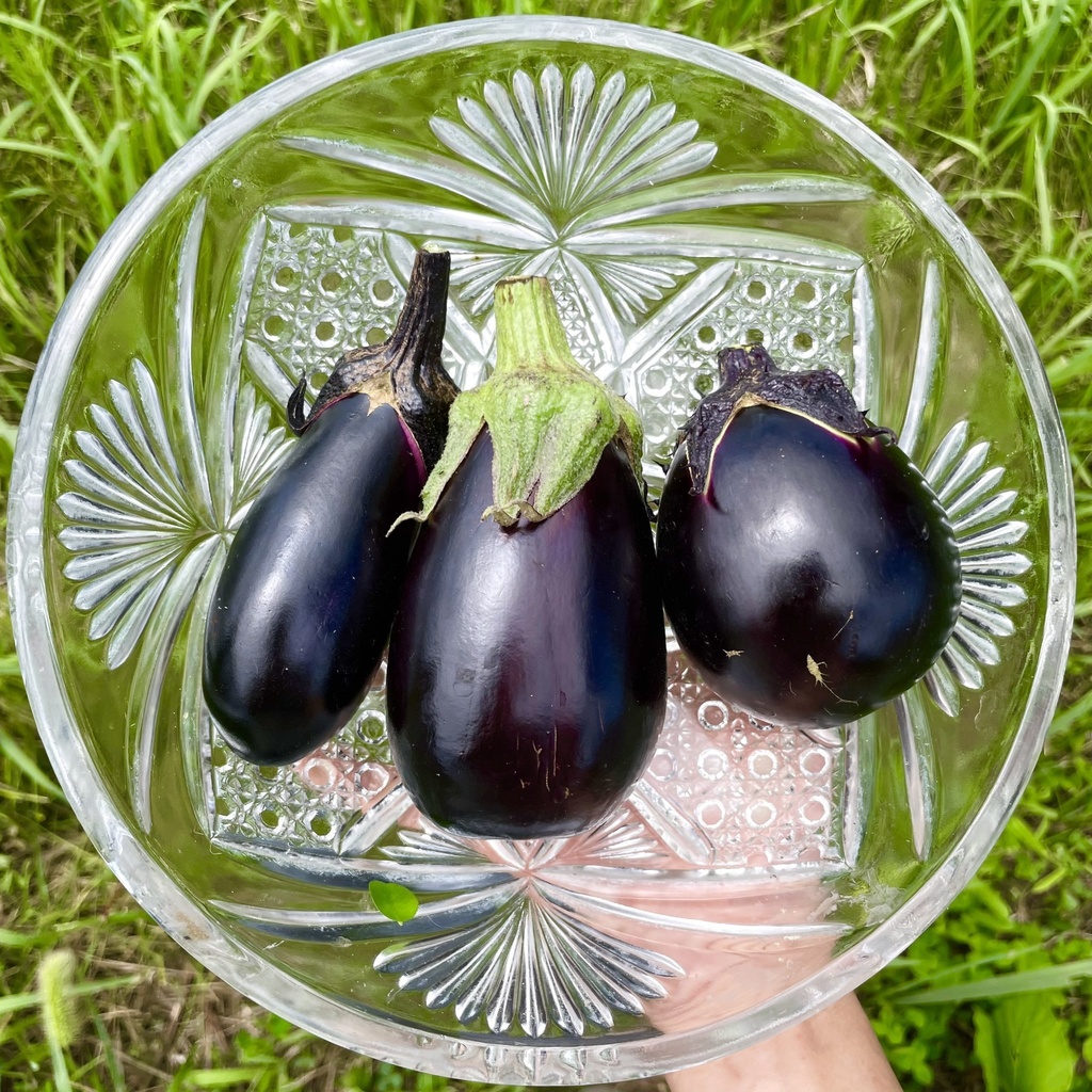 【25.09.15完売】晩夏の野菜セット【12種類の野菜ガチャ】#茶々丸農園 #紅茶々丸