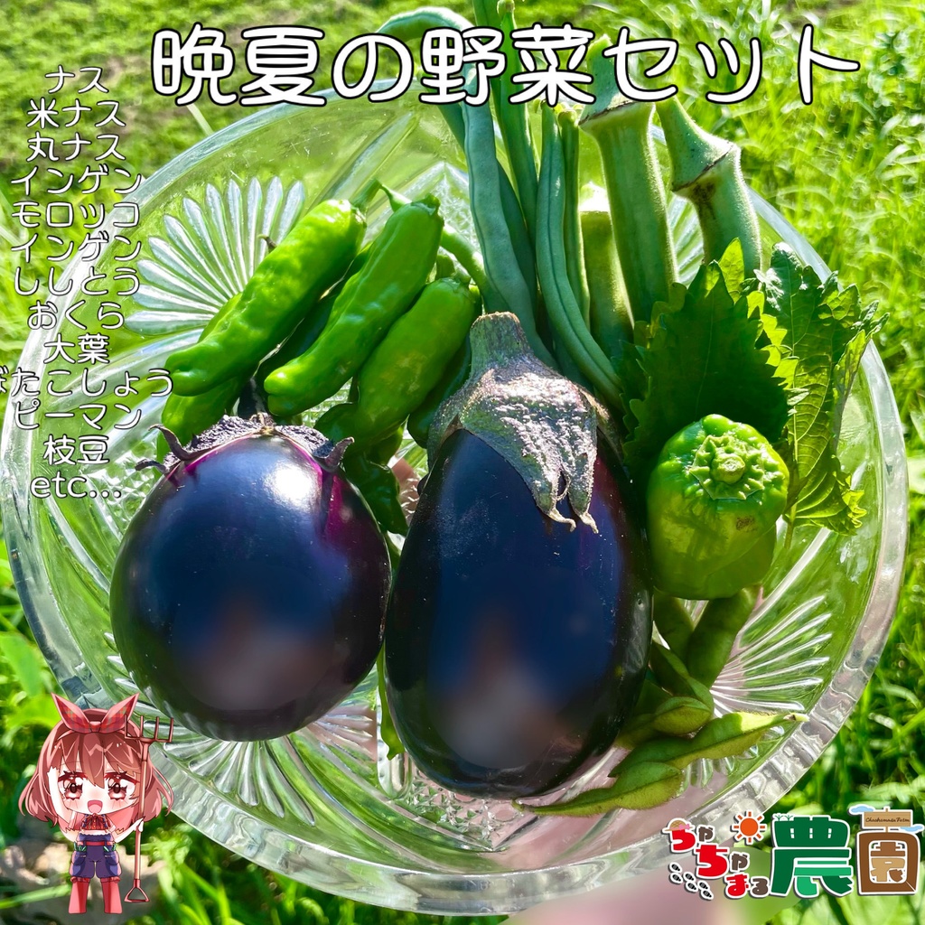 【25.09.15完売】晩夏の野菜セット【12種類の野菜ガチャ】#茶々丸農園 #紅茶々丸