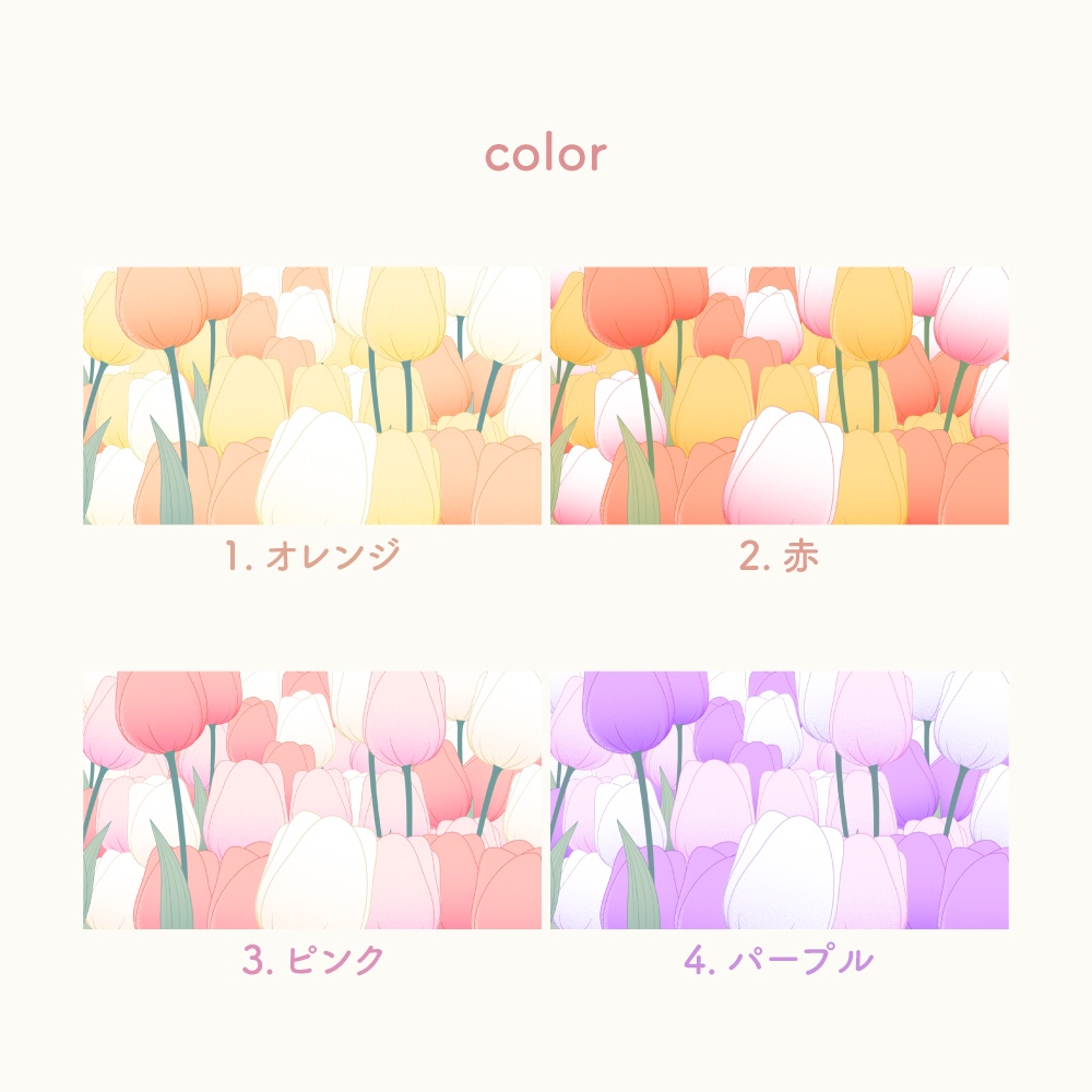 チューリップのトランジション素材