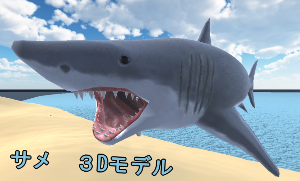 サメのモデル