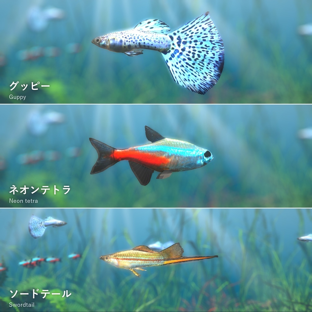 【VRChatワールド用】泳ぐ熱帯魚3種「彩」グッピー・ネオンテトラ・ソードテール【PC/Quest対応】