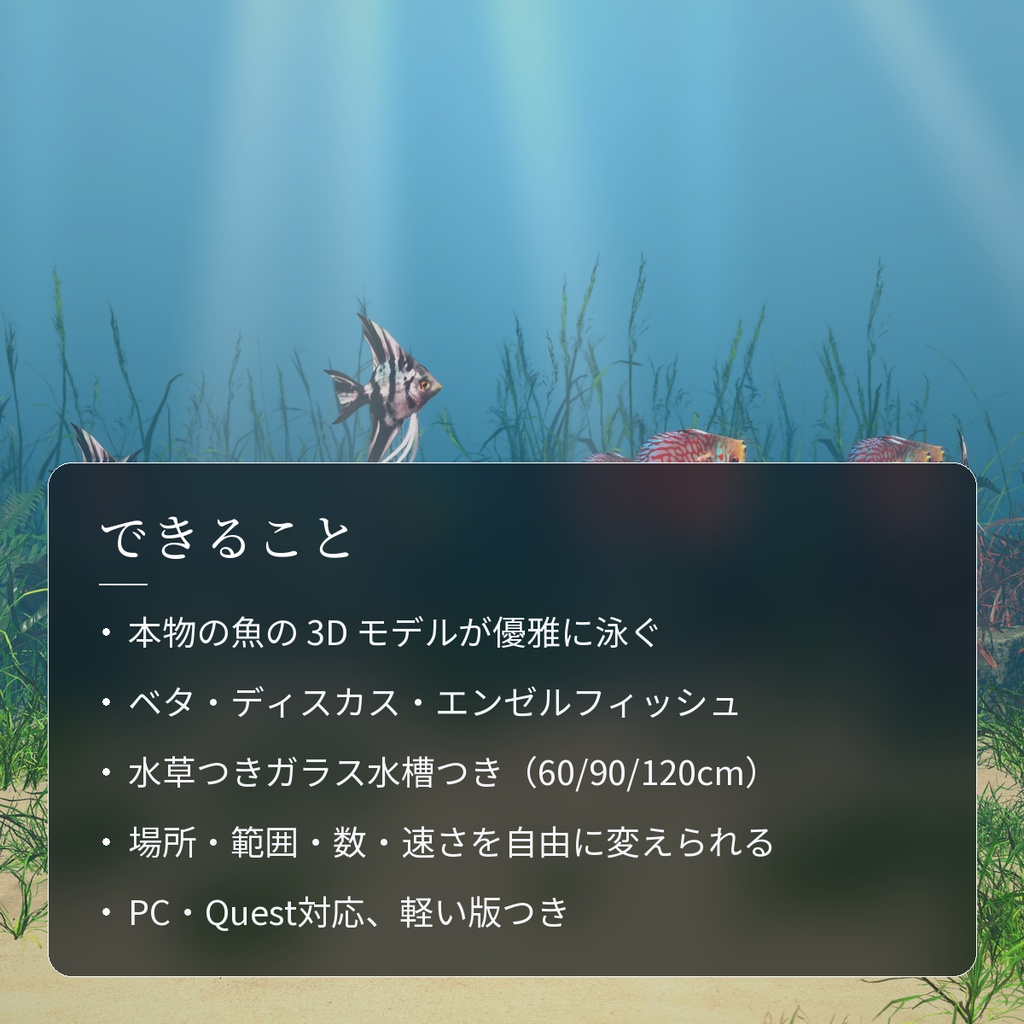 【VRChatワールド用】優雅に泳ぐ熱帯魚3種「舞」ベタ・ディスカス・エンゼルフィッシュ【PC/Quest対応】