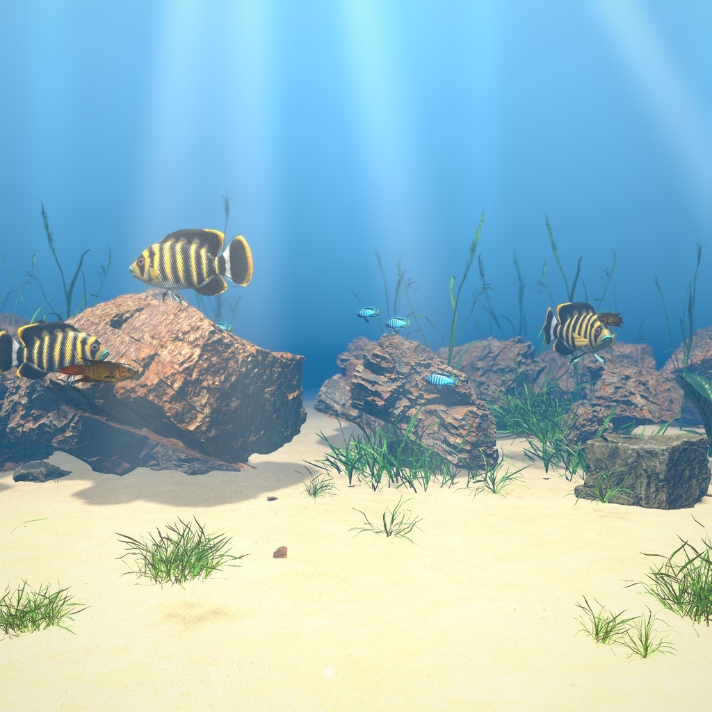 【VRChatワールド用】しま模様の熱帯魚3種「湖」デマソニ・ゼブラティラピア・パラダイスフィッシュ【PC/Quest対応】