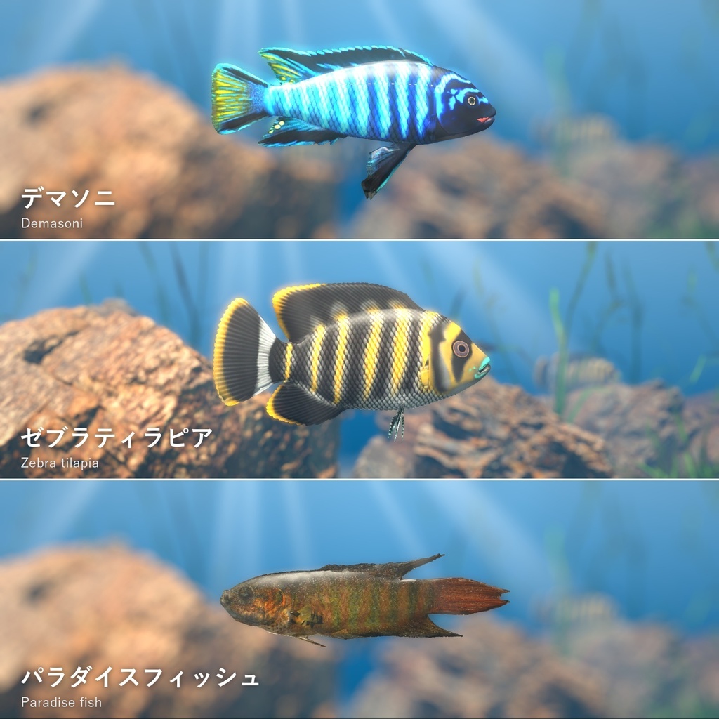 【VRChatワールド用】しま模様の熱帯魚3種「湖」デマソニ・ゼブラティラピア・パラダイスフィッシュ【PC/Quest対応】
