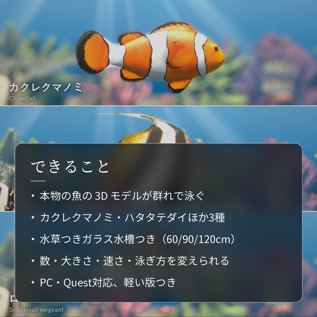【VRChatワールド用】泳ぐサンゴ礁の魚3種「珊瑚」カクレクマノミ・ハタタテダイ・ロクセンスズメダイ【PC/Quest対応】