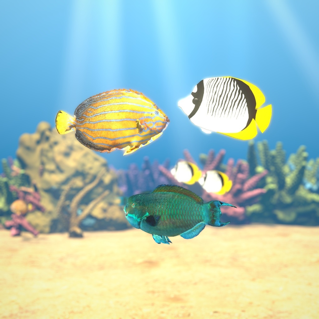 【VRChatワールド用】泳ぐ南の海の魚3種「碧」キンチャクダイ・チョウチョウウオ・ナンヨウブダイ【PC/Quest対応】