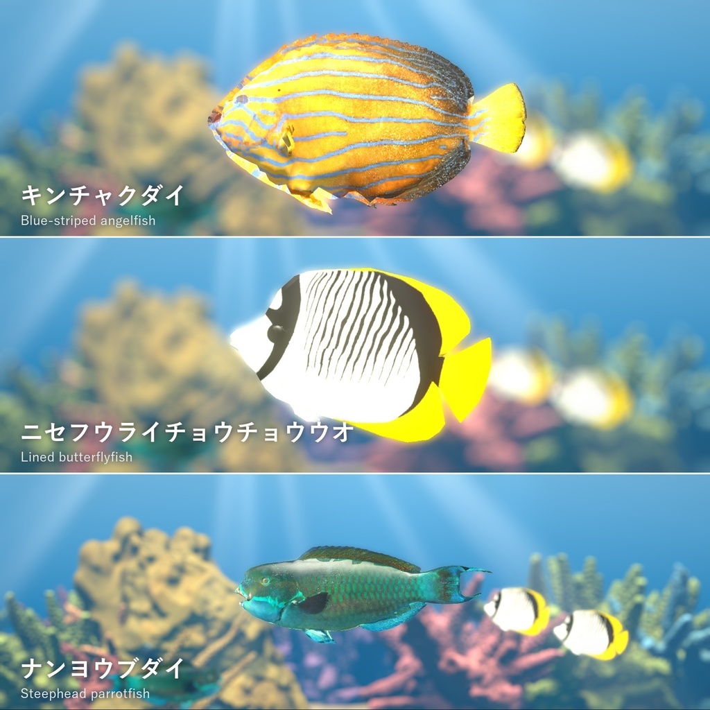 【VRChatワールド用】泳ぐ南の海の魚3種「碧」キンチャクダイ・チョウチョウウオ・ナンヨウブダイ【PC/Quest対応】