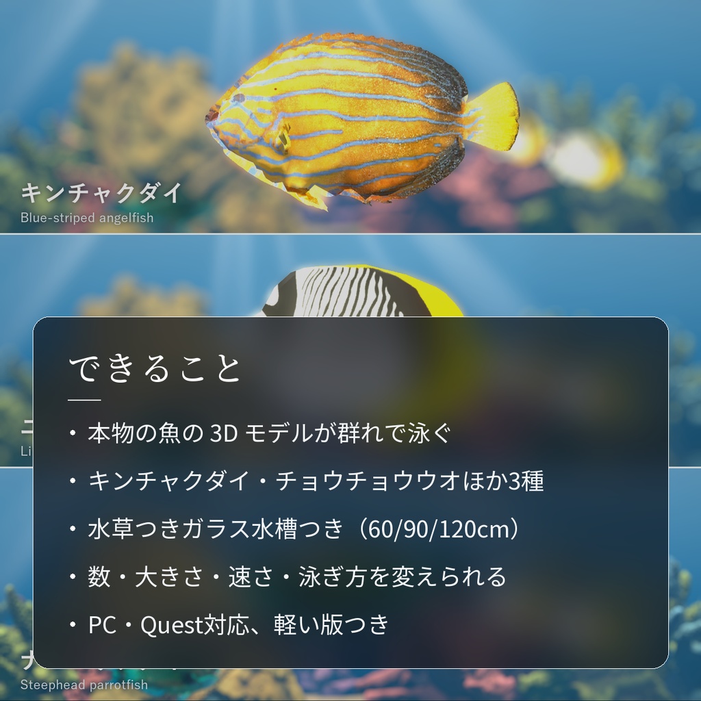 【VRChatワールド用】泳ぐ南の海の魚3種「碧」キンチャクダイ・チョウチョウウオ・ナンヨウブダイ【PC/Quest対応】