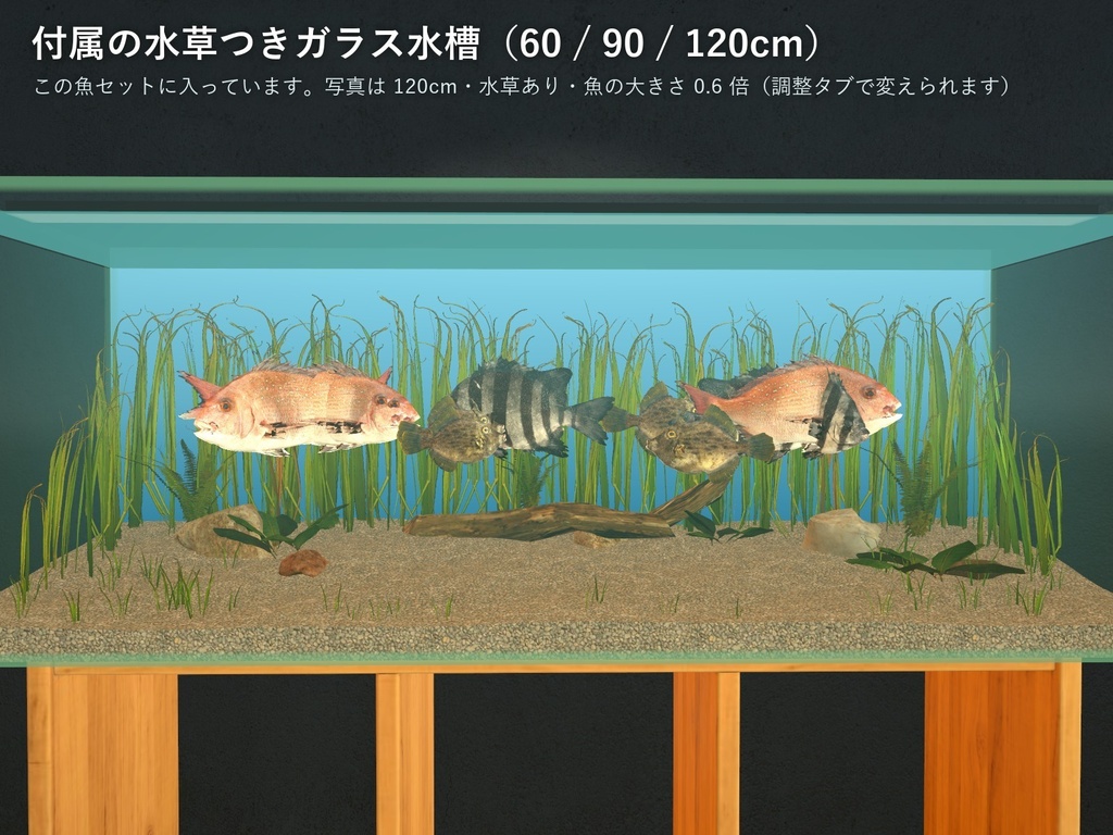 【VRChatワールド用】泳ぐ磯の魚3種「磯」マダイ・イシダイ・カワハギ【PC/Quest対応】