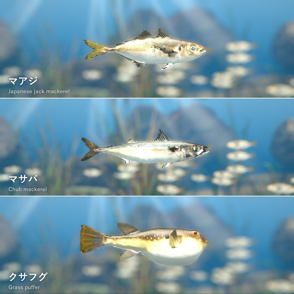 【VRChatワールド用】泳ぐ日本近海の魚3種「潮」マアジ・マサバ・クサフグ【PC/Quest対応】