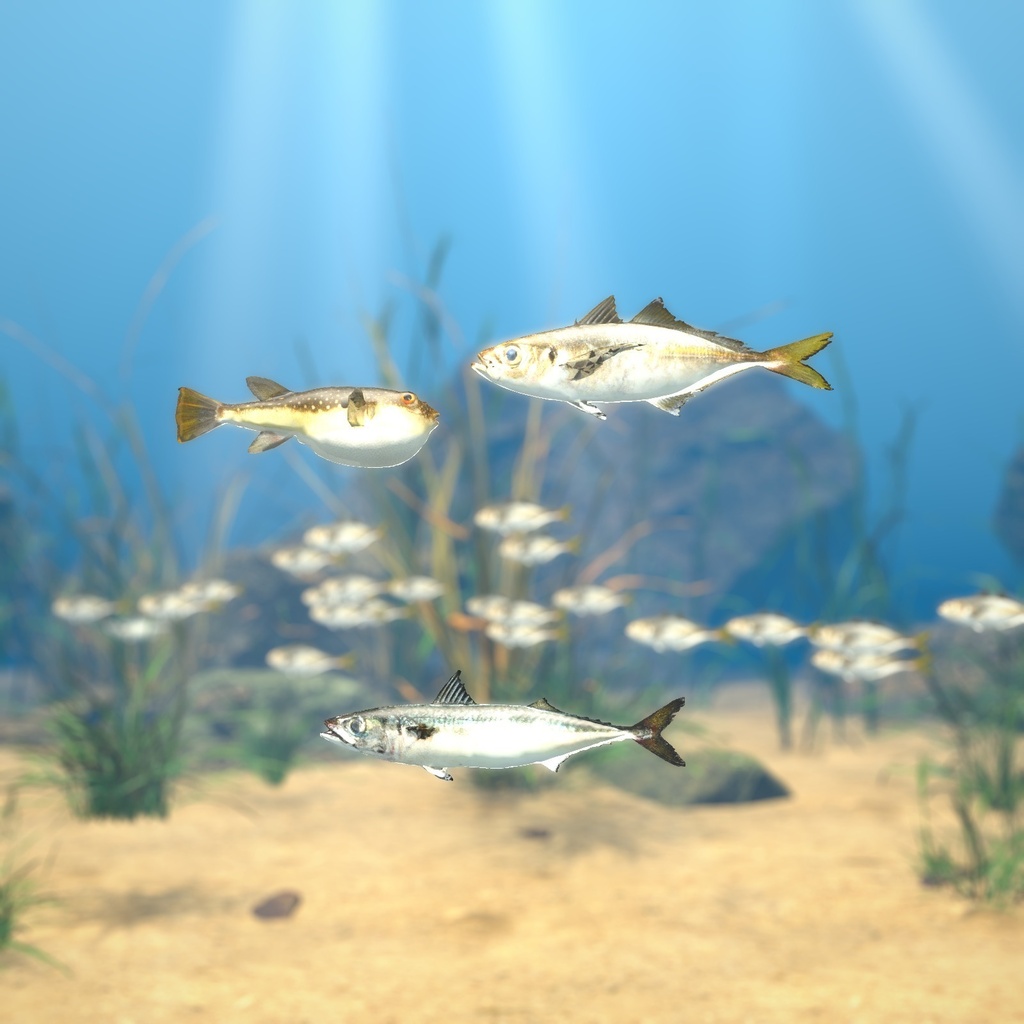【VRChatワールド用】泳ぐ日本近海の魚3種「潮」マアジ・マサバ・クサフグ【PC/Quest対応】