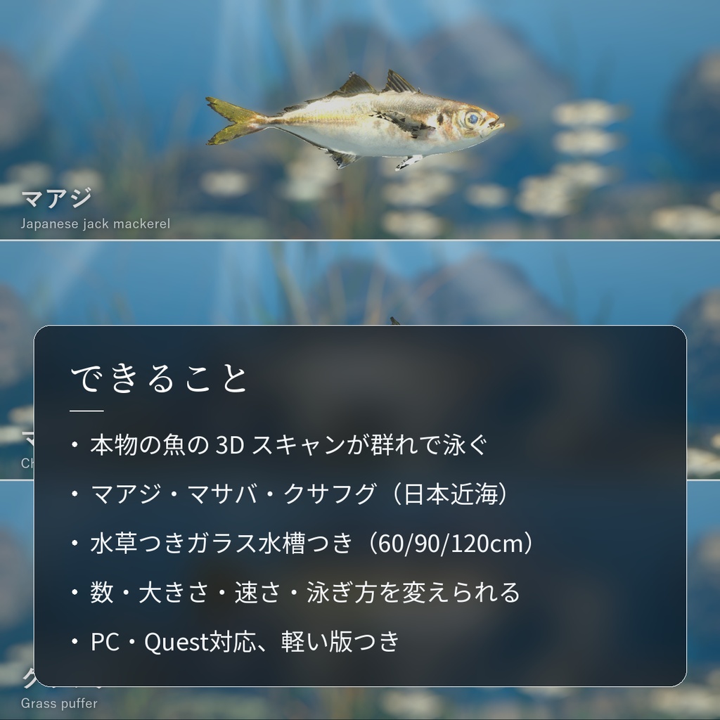 【VRChatワールド用】泳ぐ日本近海の魚3種「潮」マアジ・マサバ・クサフグ【PC/Quest対応】