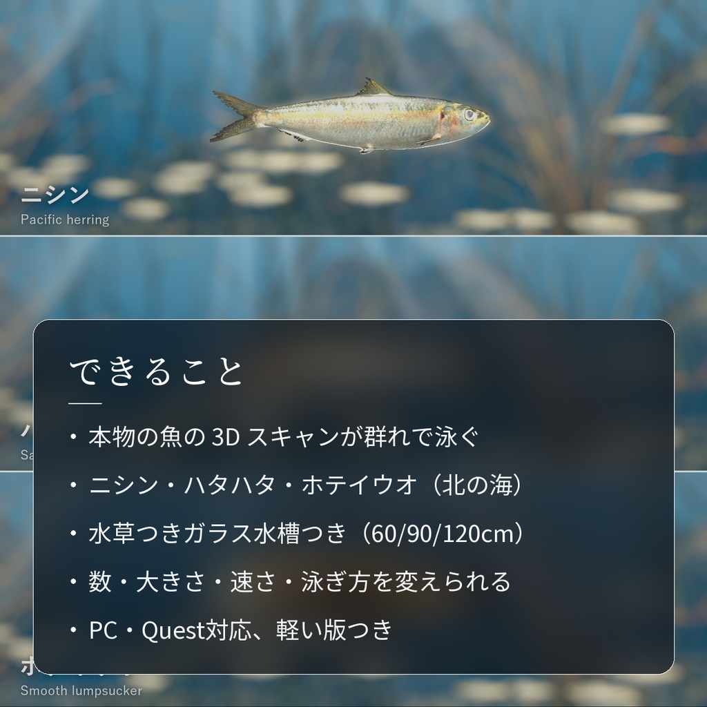 【VRChatワールド用】泳ぐ北の海の魚3種「氷」ニシン・ハタハタ・ホテイウオ【PC/Quest対応】
