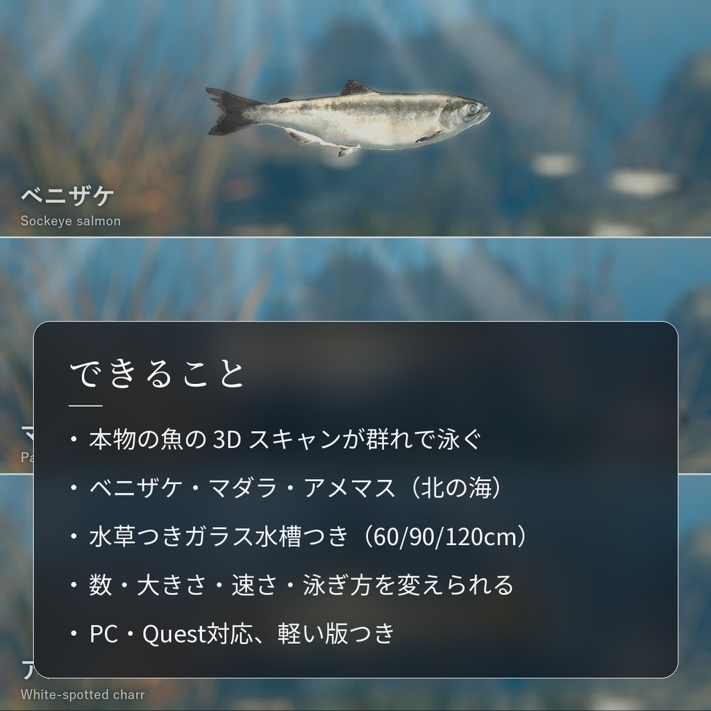 【VRChatワールド用】泳ぐ北の海の大きな魚3種「凪」ベニザケ・マダラ・アメマス【PC/Quest対応】