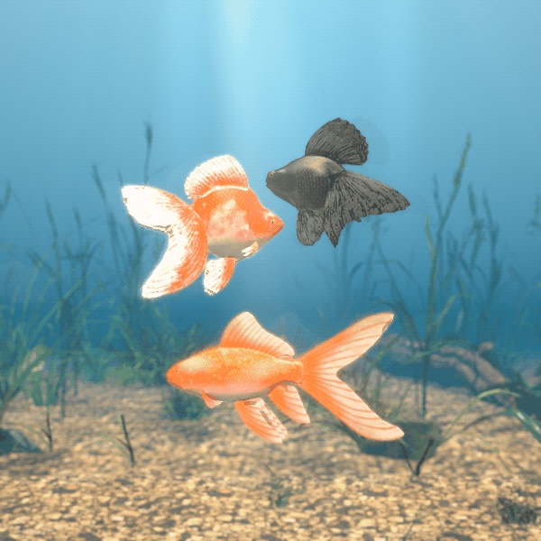 【VRChatワールド用】泳ぐ金魚3種「金」琉金・出目金・コメット【PC/Quest対応】