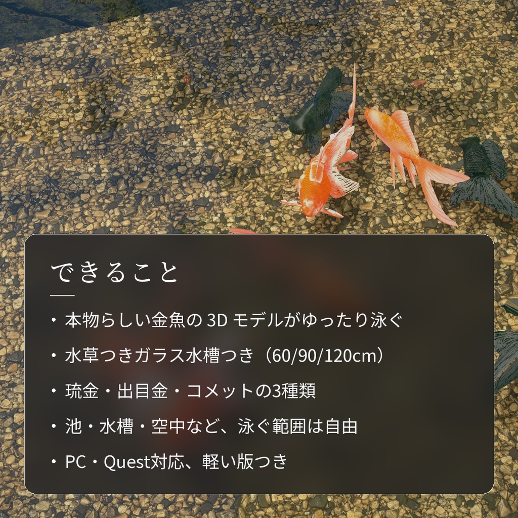 【VRChatワールド用】泳ぐ金魚3種「金」琉金・出目金・コメット【PC/Quest対応】