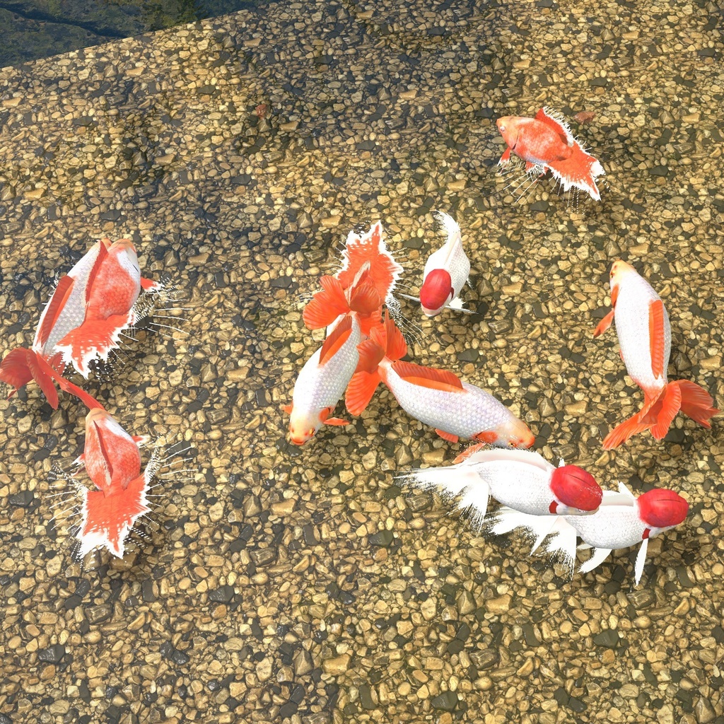 【VRChatワールド用】泳ぐ高級金魚3種「雅」土佐金・地金・オランダ獅子頭【PC/Quest対応】