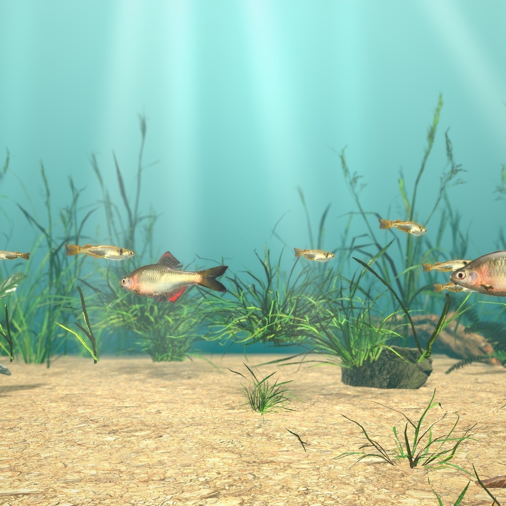 【VRChatワールド用】泳ぐ日本の小川の魚3種「里」メダカ・ドジョウ・ヤリタナゴ【PC/Quest対応】