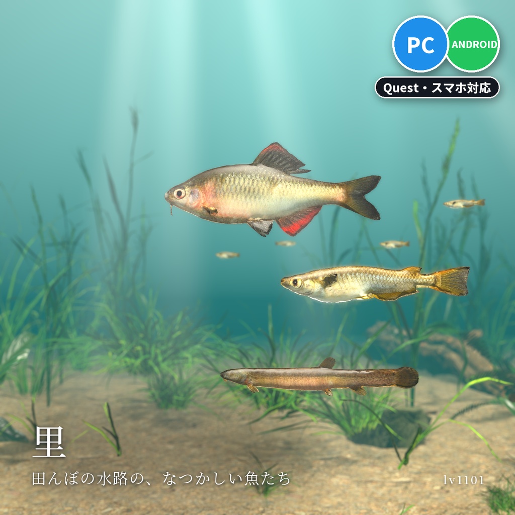 【VRChatワールド用】泳ぐ日本の小川の魚3種「里」メダカ・ドジョウ・ヤリタナゴ【PC/Quest対応】