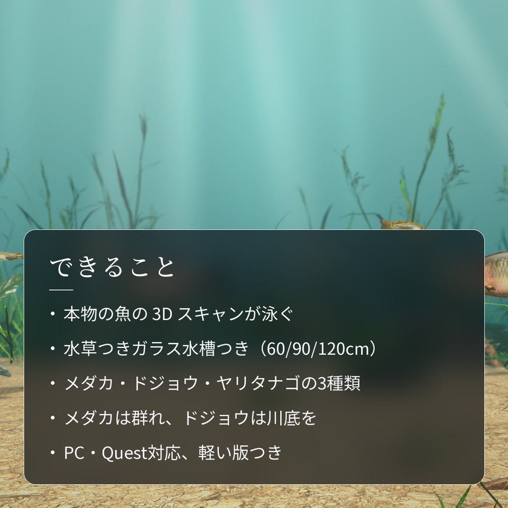 【VRChatワールド用】泳ぐ日本の小川の魚3種「里」メダカ・ドジョウ・ヤリタナゴ【PC/Quest対応】