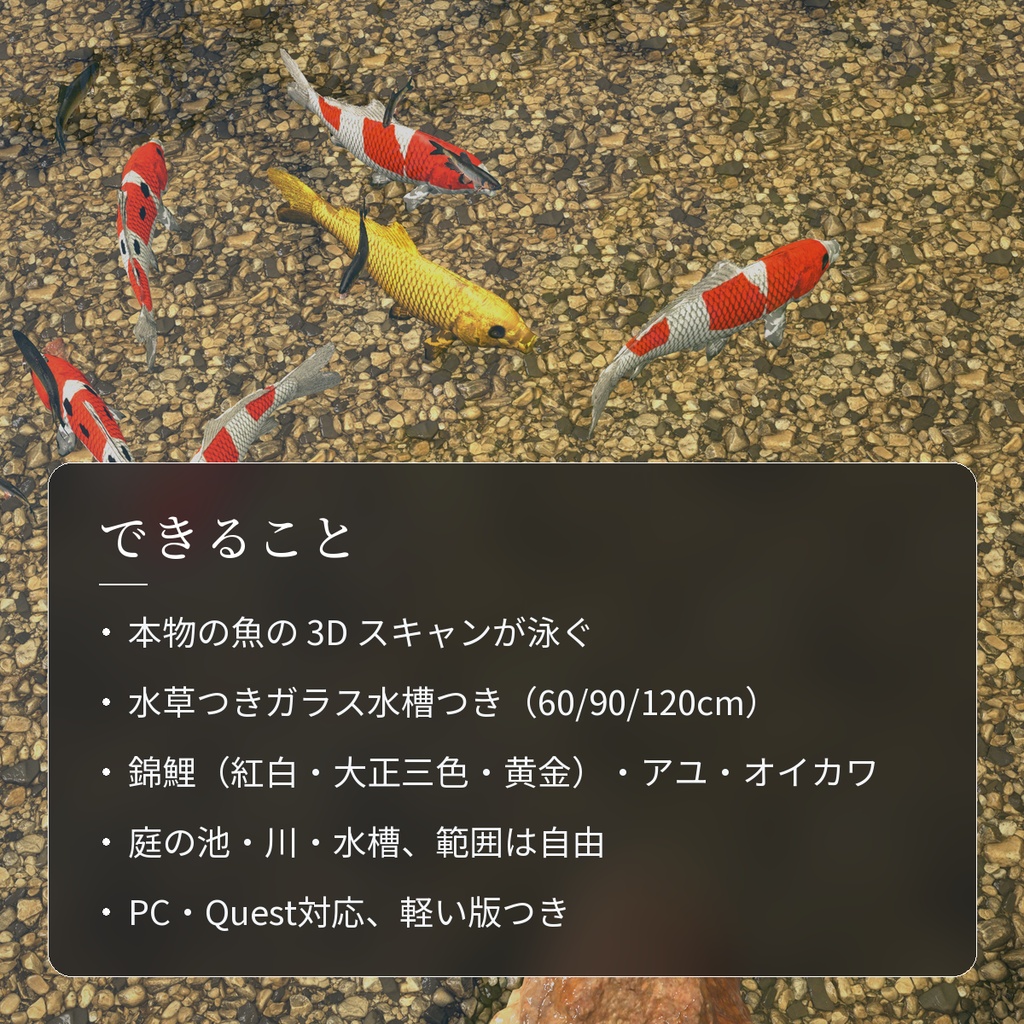 【VRChatワールド用】泳ぐ日本の川と池の魚3種「錦」錦鯉・アユ・オイカワ【PC/Quest対応】