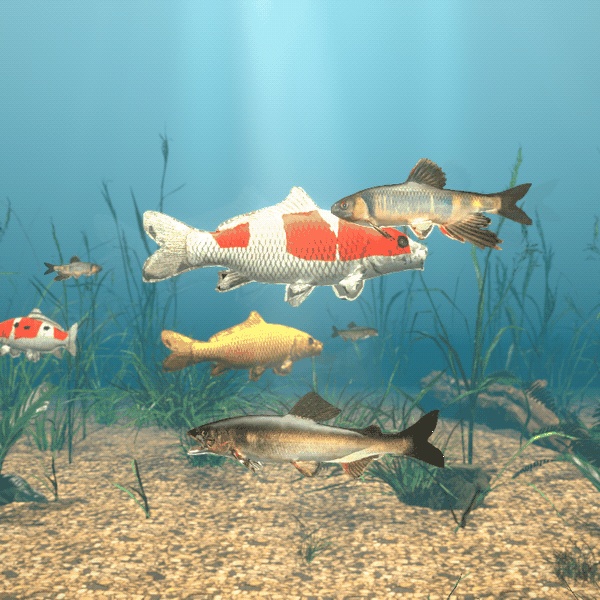 【VRChatワールド用】泳ぐ日本の川と池の魚3種「錦」錦鯉・アユ・オイカワ【PC/Quest対応】