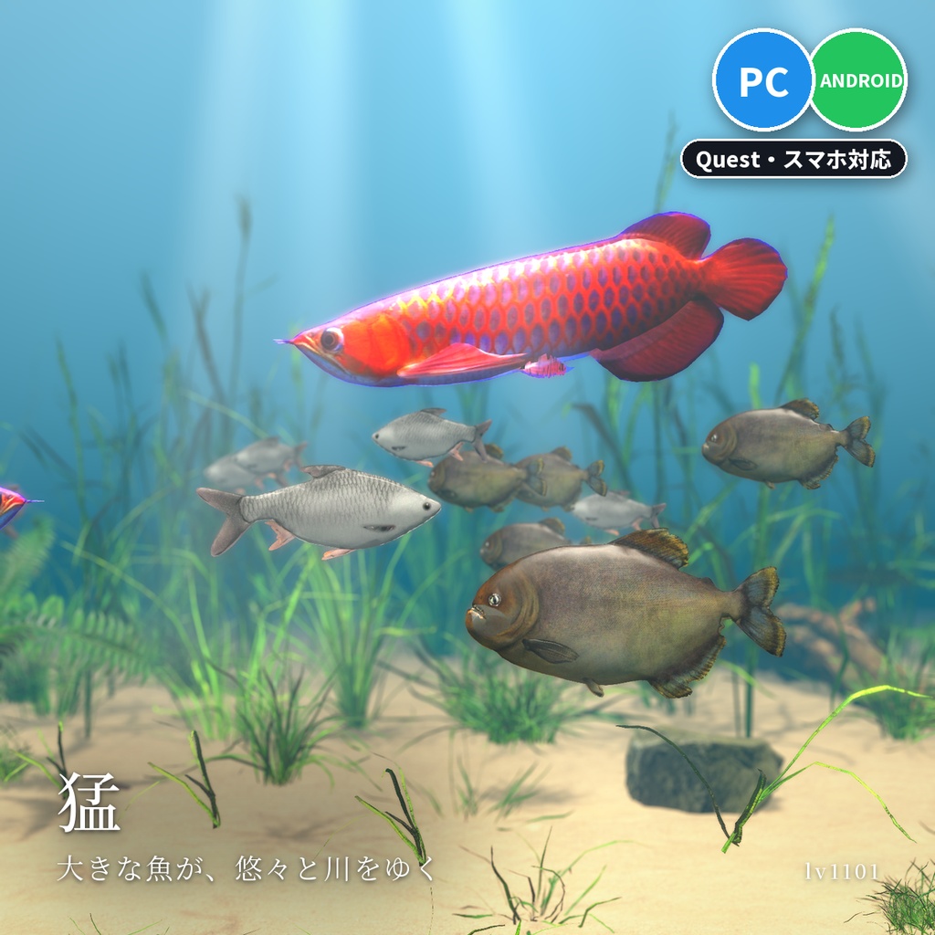 【VRChatワールド用】迫力の大型魚3種「猛」ピラニア・レッドアロワナ・ジャワバルブ【PC/Quest対応】