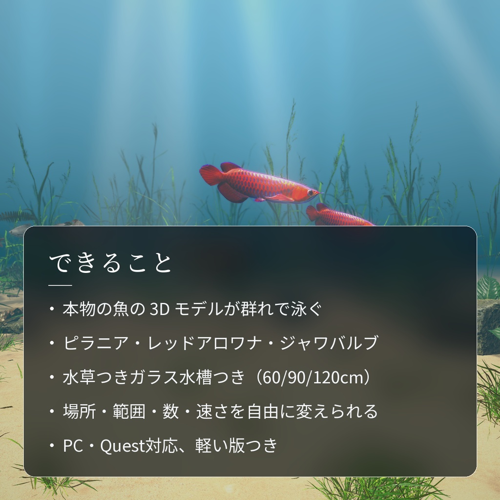 【VRChatワールド用】迫力の大型魚3種「猛」ピラニア・レッドアロワナ・ジャワバルブ【PC/Quest対応】