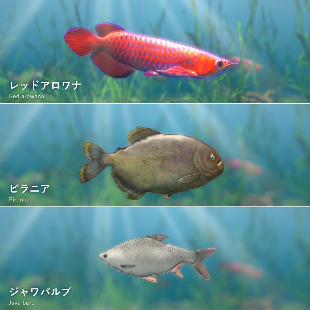 【VRChatワールド用】迫力の大型魚3種「猛」ピラニア・レッドアロワナ・ジャワバルブ【PC/Quest対応】