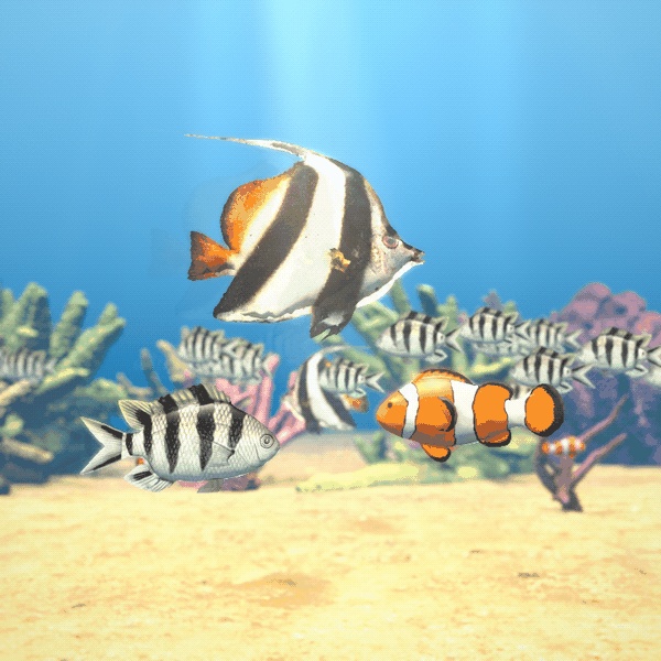 【VRChatワールド用】泳ぐ魚6セットまとめ「海の魚」南国・日本近海・北の海18種・水草つきガラス水槽つき・単品より500円お得【PC/Quest対応】