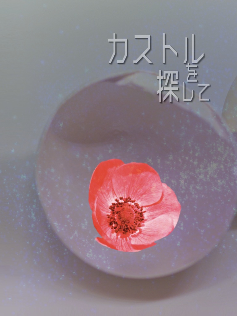 【眞凌】カストルを探して