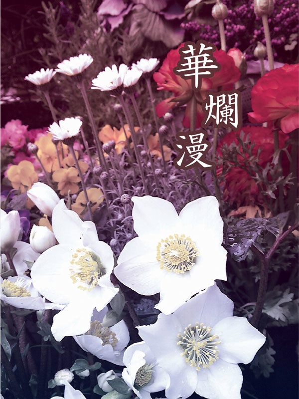 華爛漫