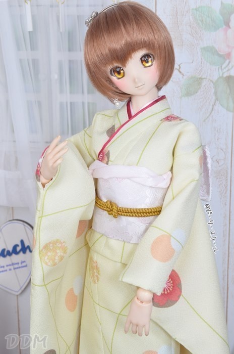 総裏地着物(袷着物)の型紙 Fully lined kimono pattern(Awase kimono)