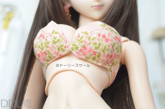 ブラの型紙 Brassiere pattern