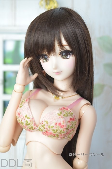 ブラの型紙 Brassiere pattern