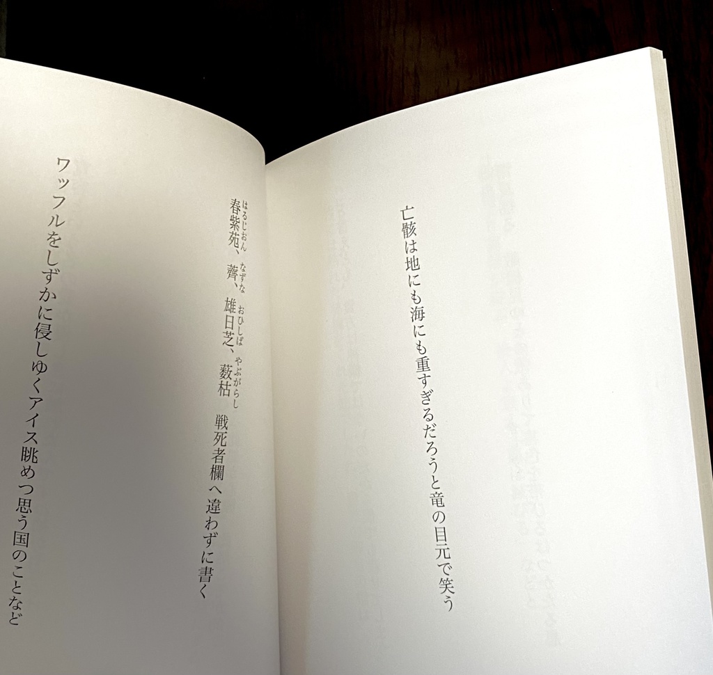 短歌集 一眼百首