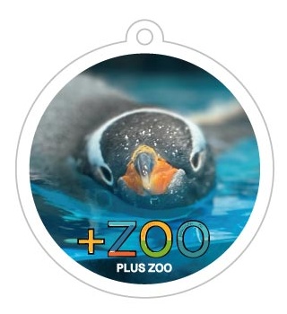 アクリルキーホルダー（ジェンツーペンギン・鴨川シーワールド）