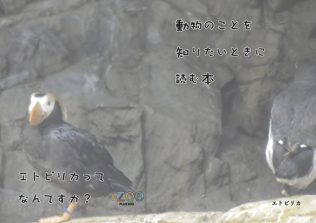 動物のことを知りたいときに読む本〜エトピリカ〜