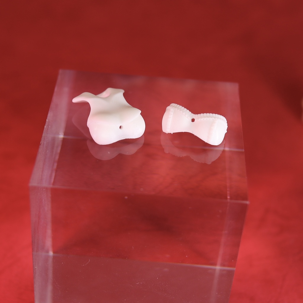 コルセット ランジェリーver