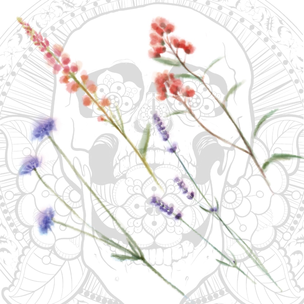 【高解像度PNG】野の花ガーデン|水彩&線画イラスト素材セット Wildflower Garden – Watercolor & Line Art Clipart Set
