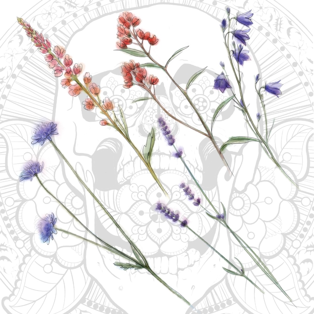 【高解像度PNG】野の花ガーデン|水彩&線画イラスト素材セット Wildflower Garden – Watercolor & Line Art Clipart Set