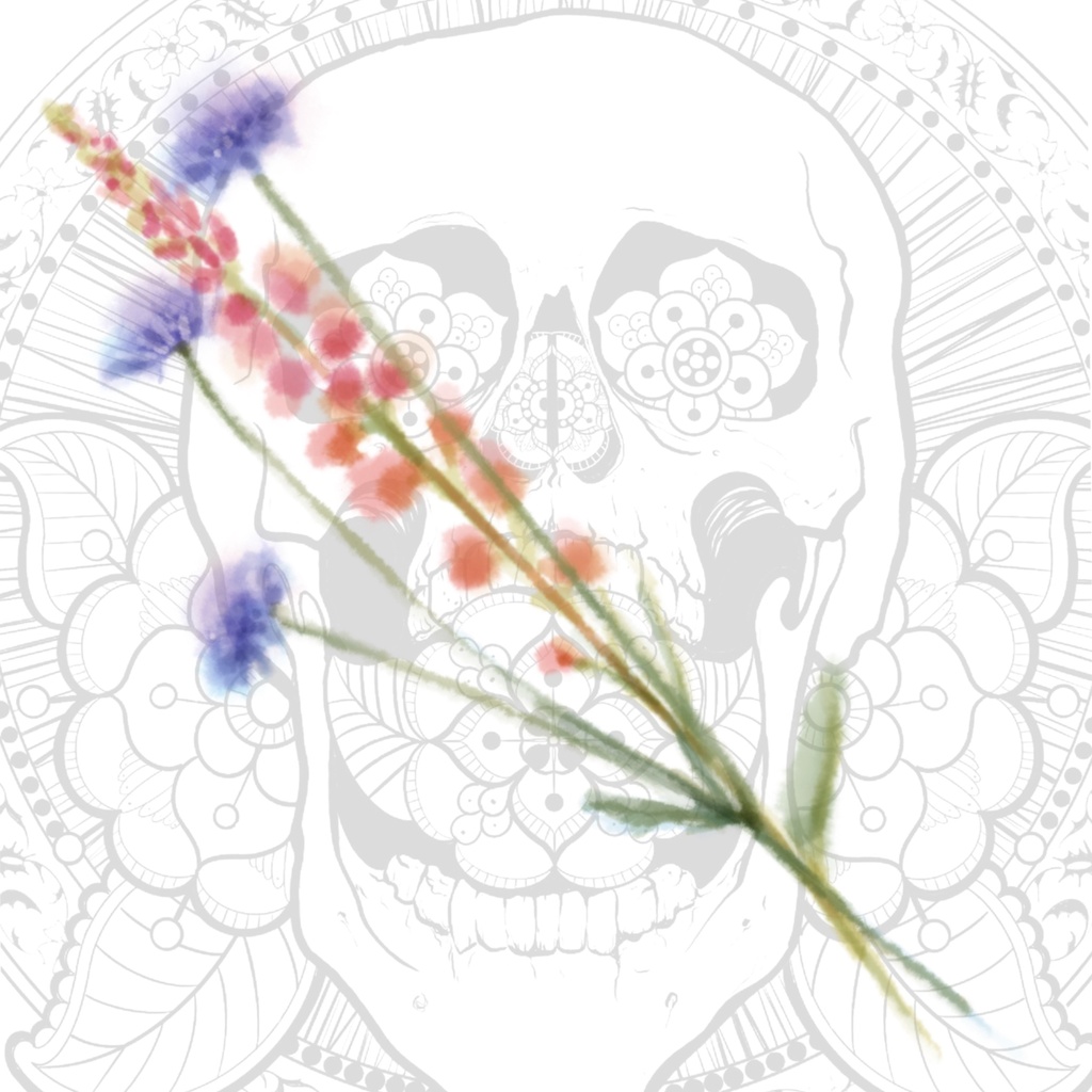 【高解像度PNG】野の花ガーデン|水彩&線画イラスト素材セット Wildflower Garden – Watercolor & Line Art Clipart Set