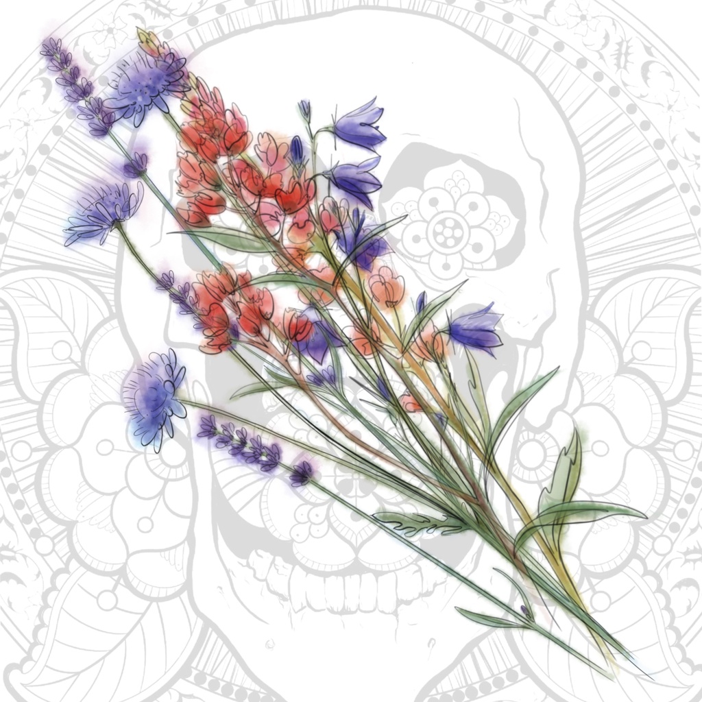 【高解像度PNG】野の花ガーデン｜水彩＆線画イラスト素材セット Wildflower Garden – Watercolor & Line Art Clipart Set