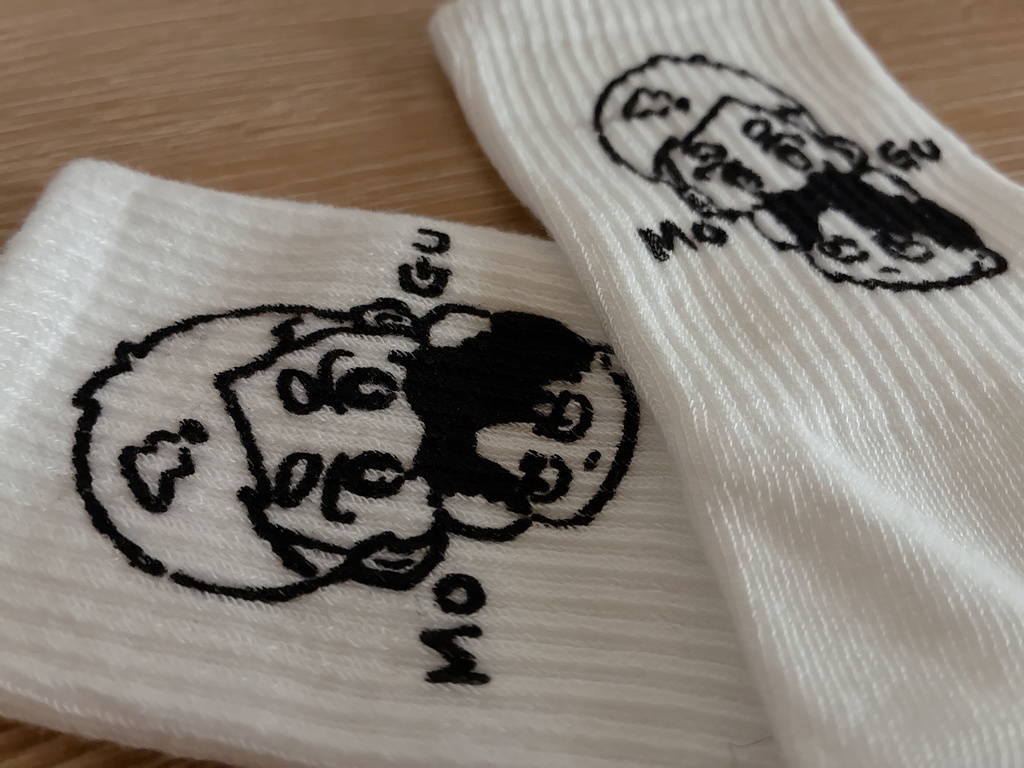 もぐヴィン靴下
