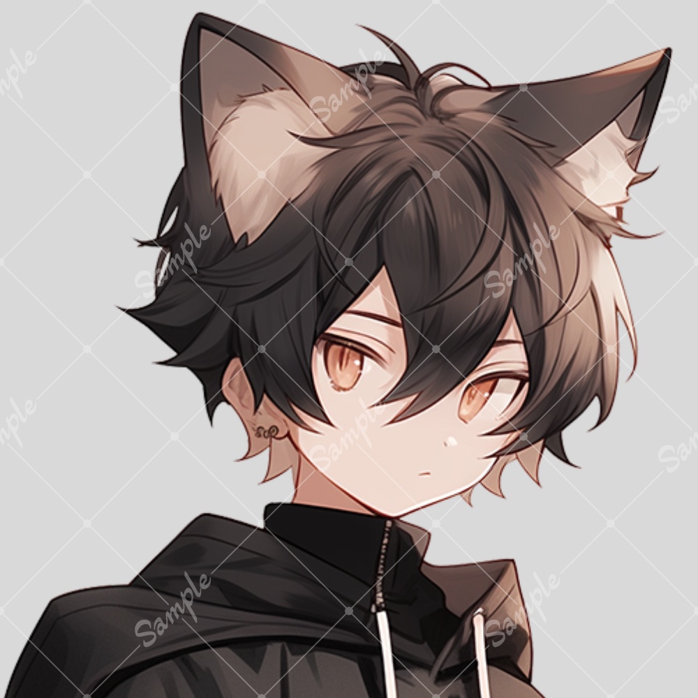 全身立ち絵素材100 黒猫 猫耳の男の子