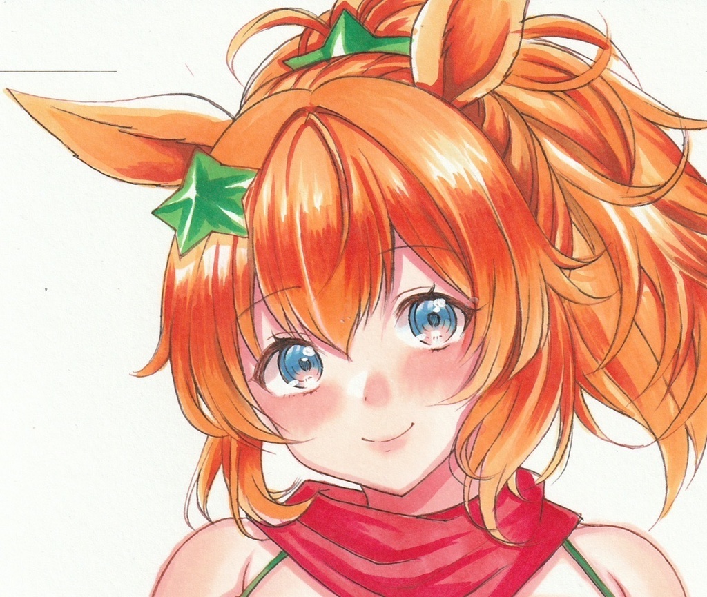 A4サイズ　手描きイラスト　タイキシャトル